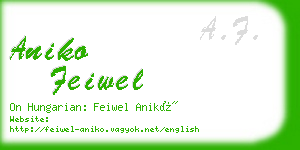 aniko feiwel business card